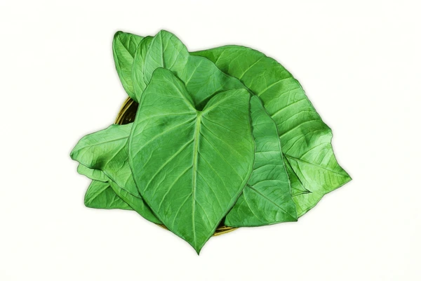Colocasia Leaves (अरबी के पत्ते)